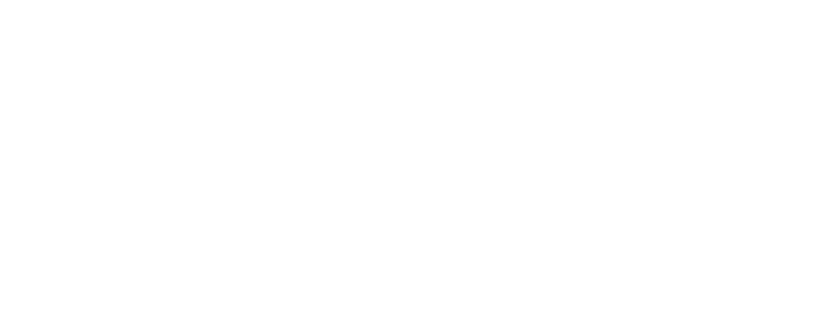 Israel Antiquities Authority logo